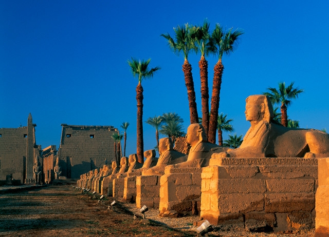 Luxor Temple Avenue of Sphinxes